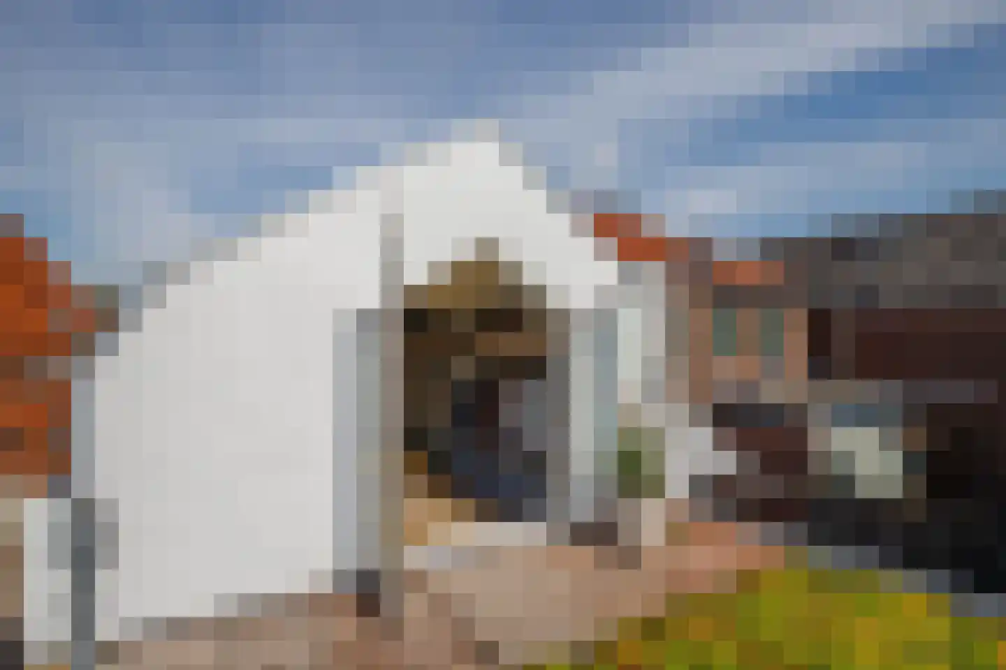 Lopikerstraat 25 a Schoonhoven thumbnail 36