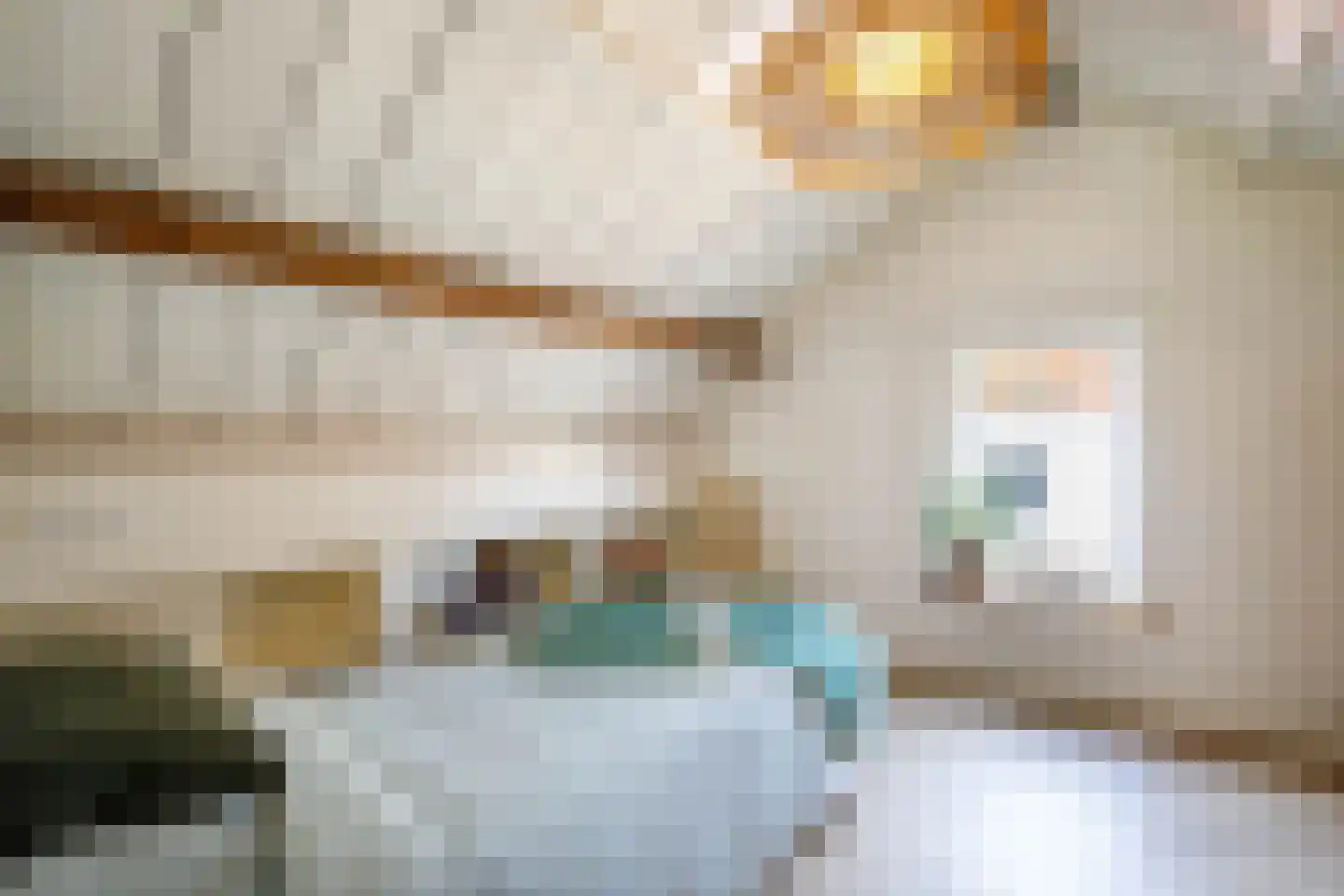 Lopikerstraat 25 a Schoonhoven thumbnail 41
