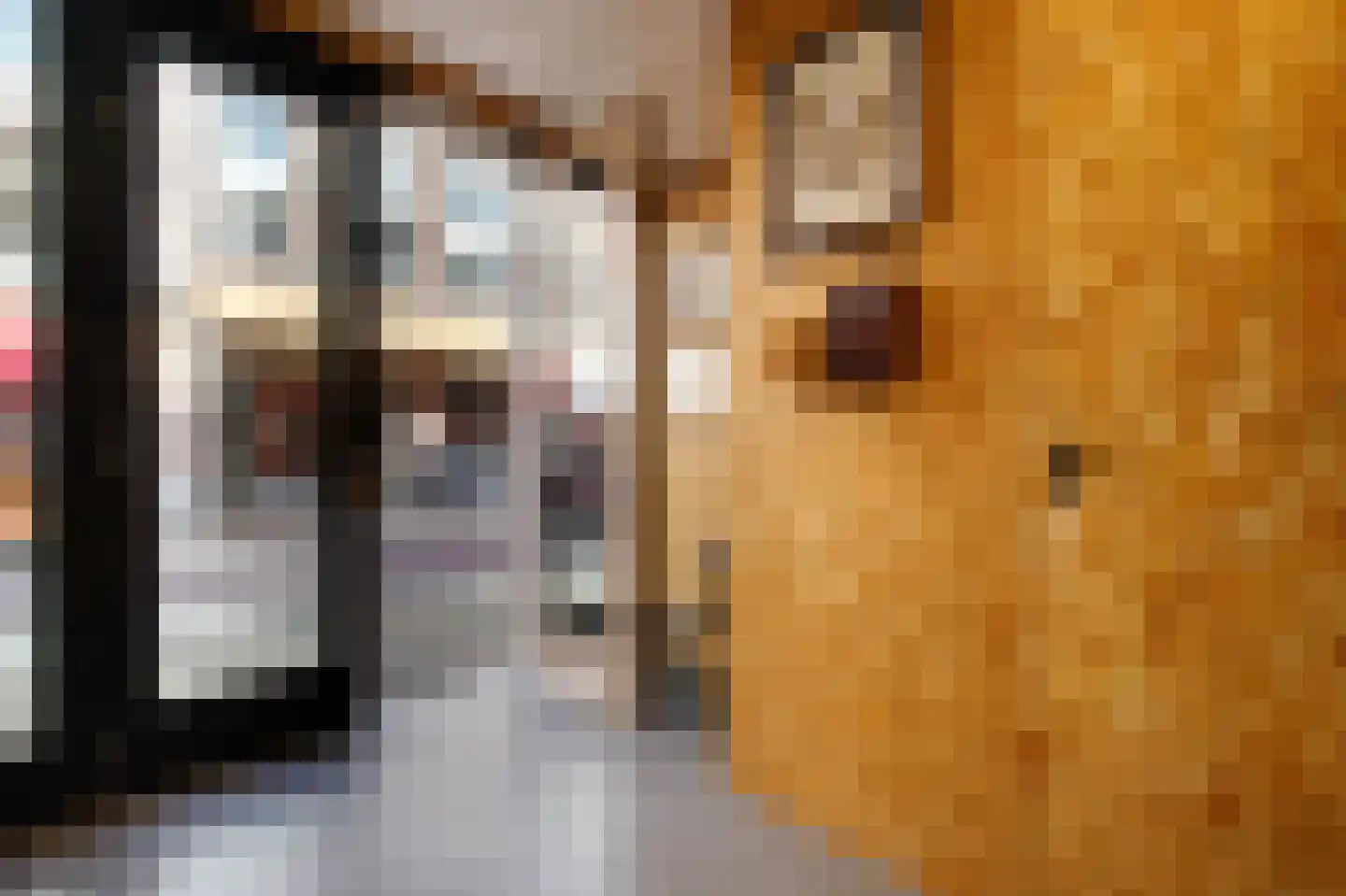 Lopikerstraat 25 a Schoonhoven thumbnail 44