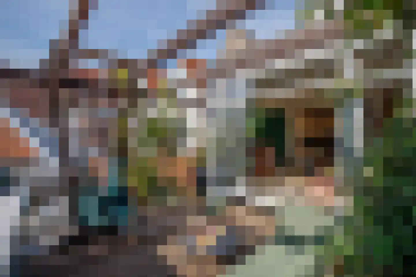 Lopikerstraat 25 a Schoonhoven thumbnail 5