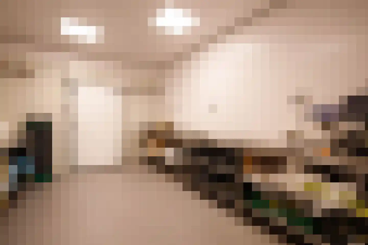 Lopikerstraat 25 a Schoonhoven thumbnail 51