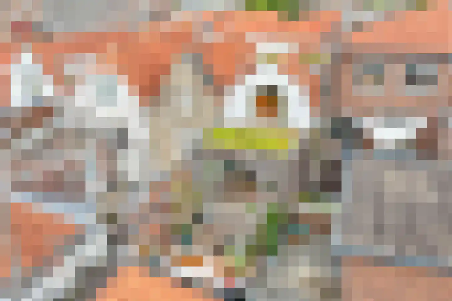 Lopikerstraat 25 a Schoonhoven thumbnail 55