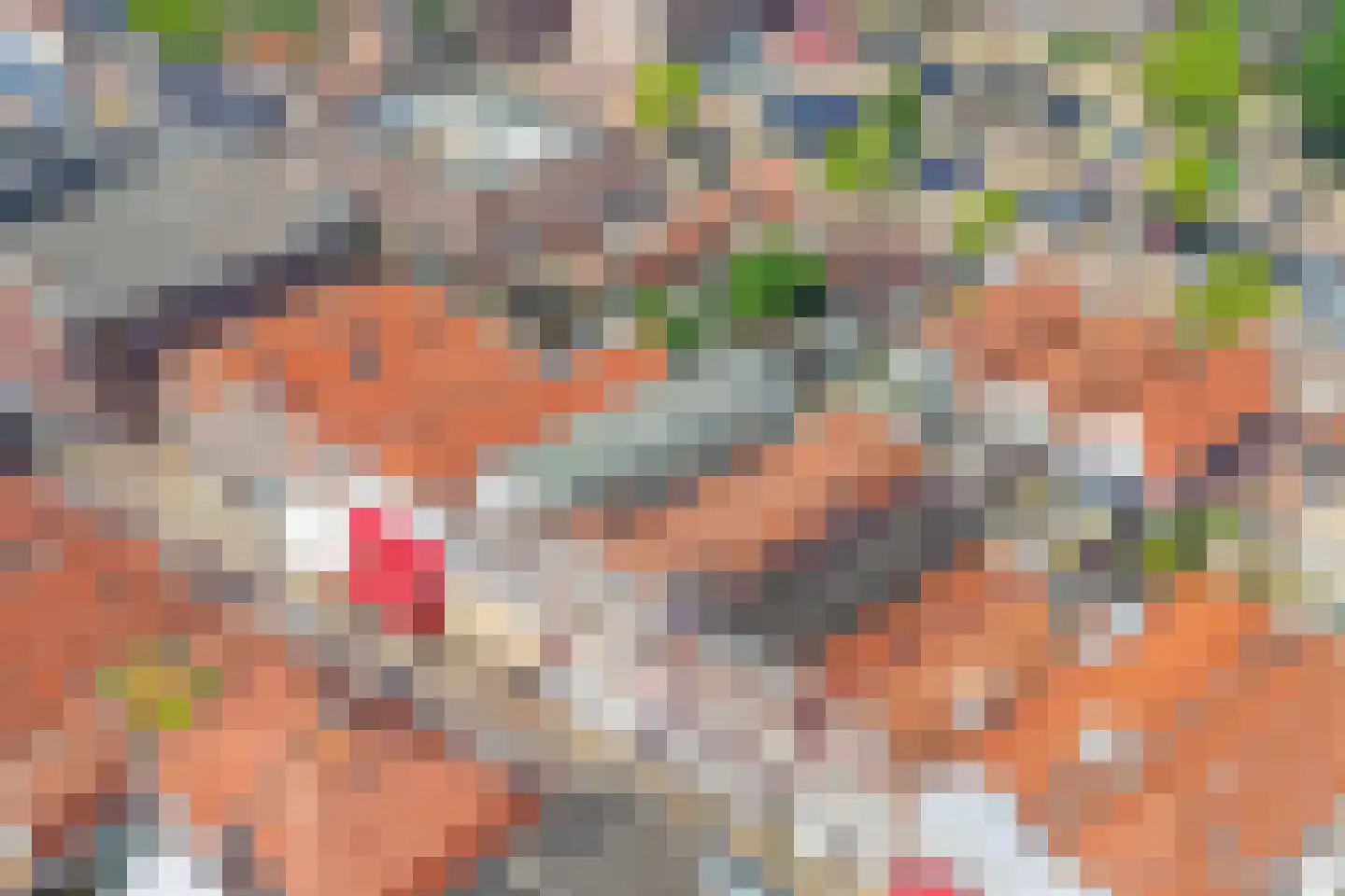 Lopikerstraat 34 a Schoonhoven thumbnail 7