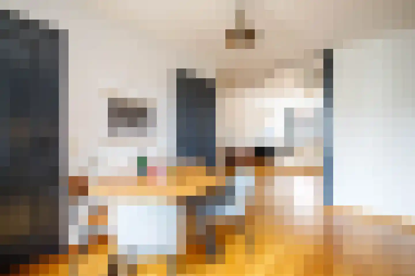 Lopikerstraat 34 Schoonhoven thumbnail 15