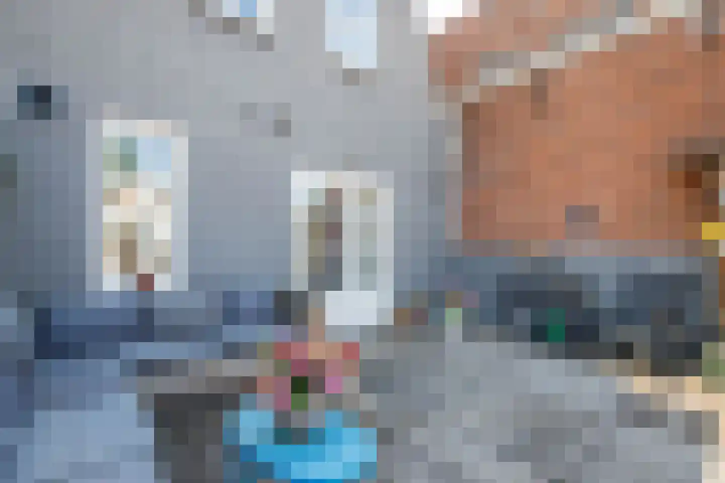 Lopikerstraat 34 Schoonhoven thumbnail 31