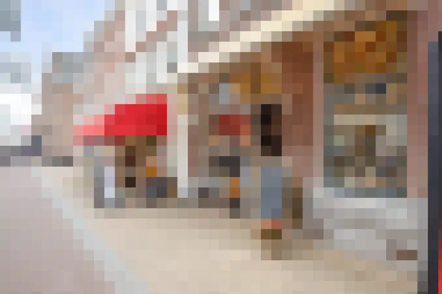 Lopikerstraat 34 Schoonhoven thumbnail 35