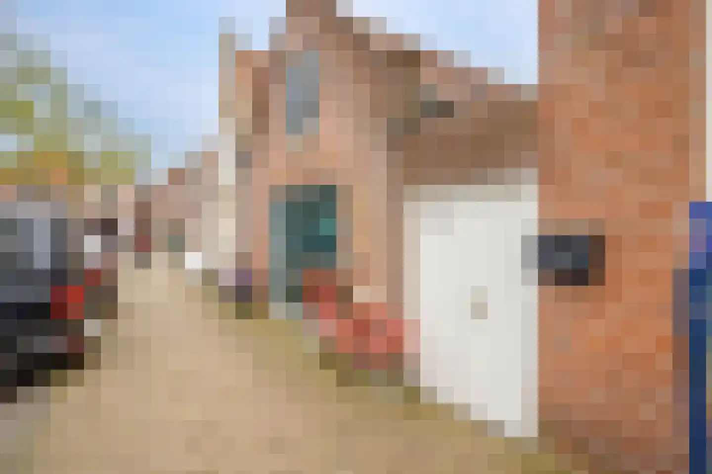 Lopikerstraat 34 Schoonhoven thumbnail 8