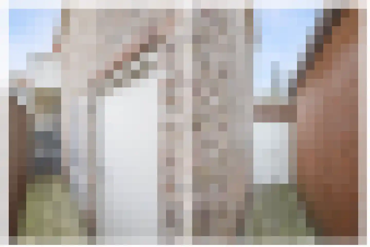 Lopikerstraat 34 Schoonhoven thumbnail 9