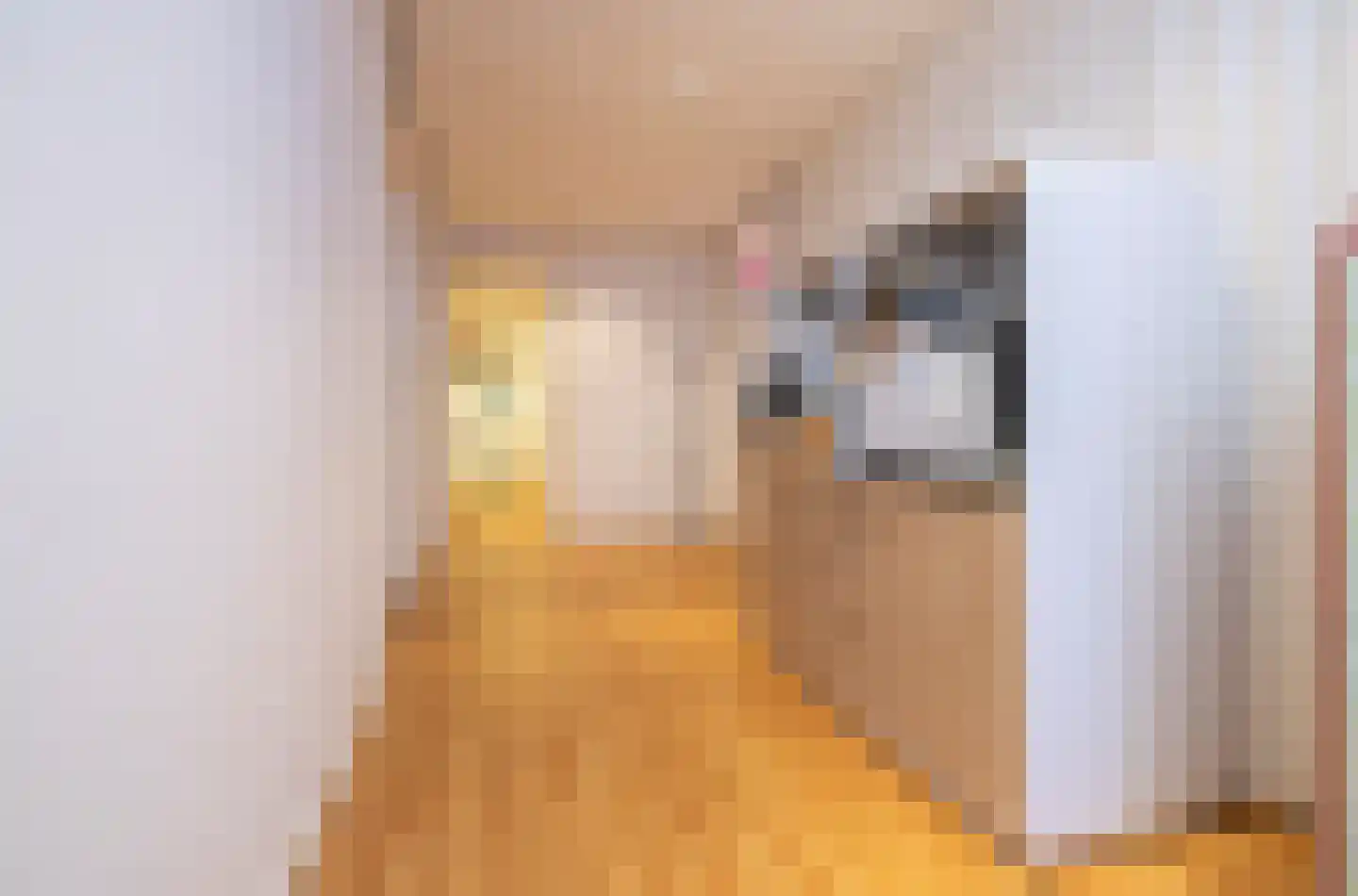 Lopikerstraat 6 Schoonhoven thumbnail 14