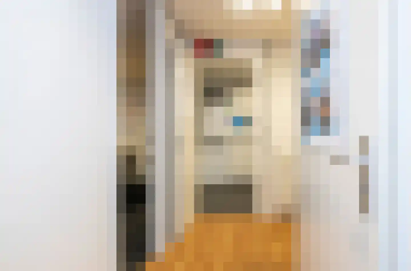 Lopikerstraat 6 Schoonhoven thumbnail 20