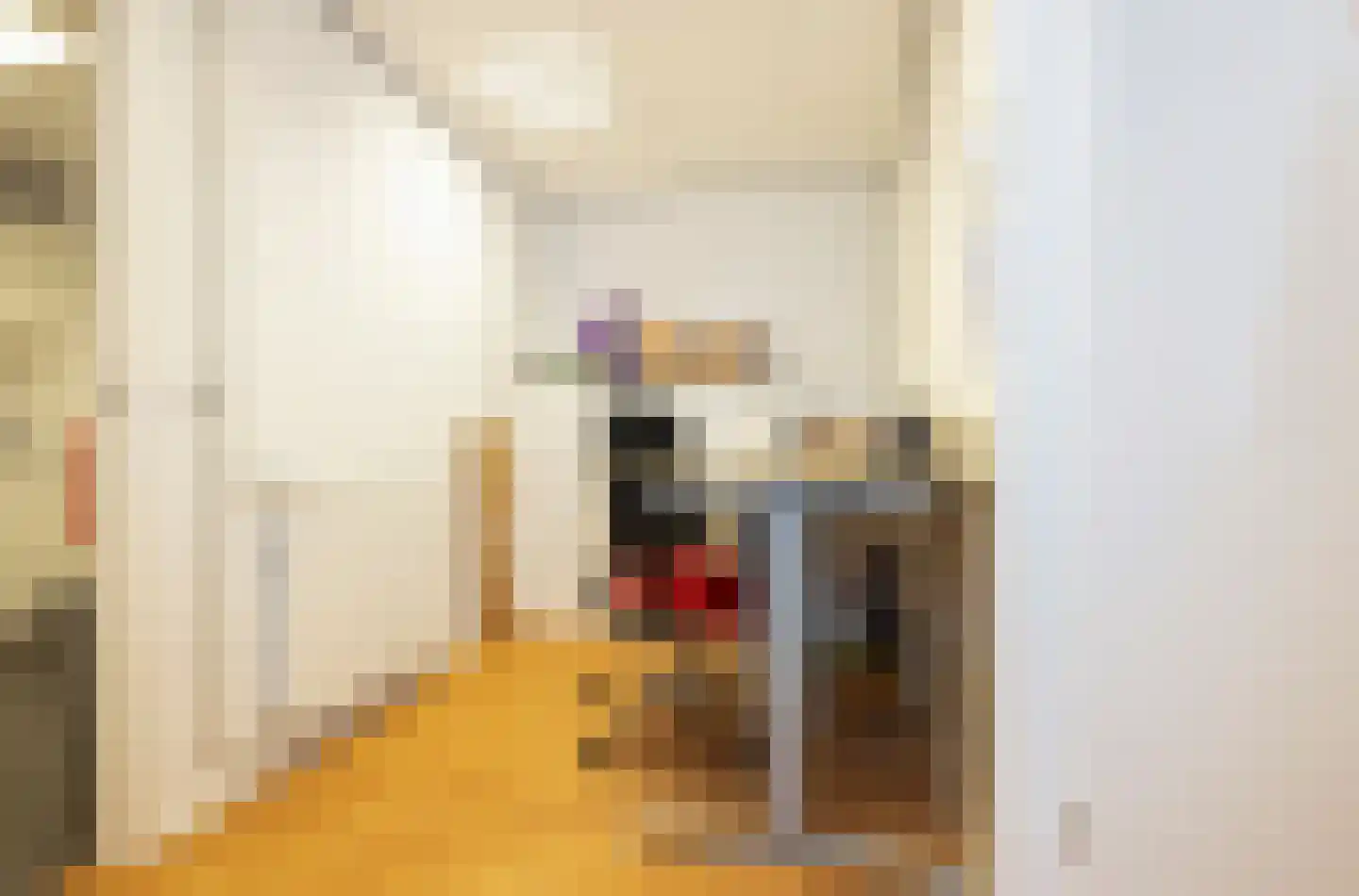 Lopikerstraat 6 Schoonhoven thumbnail 22