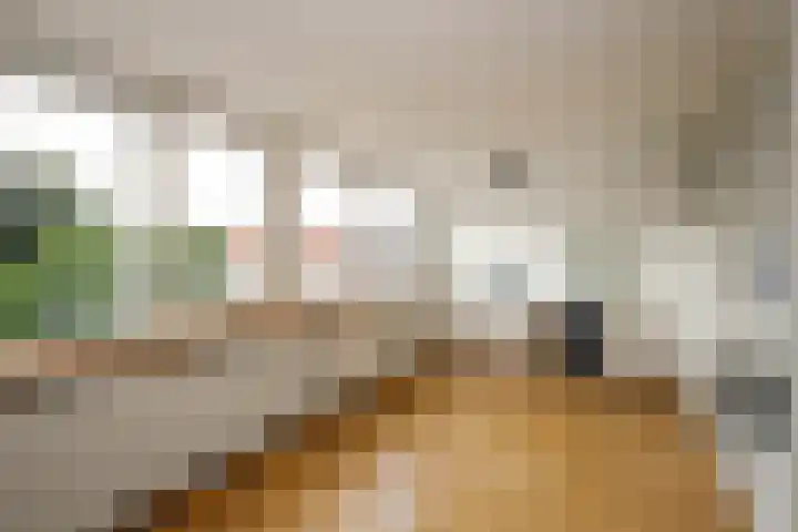 Lopikerstraat 67 Schoonhoven thumbnail 27