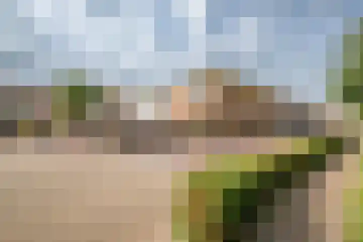 Lopikerstraat 67 Schoonhoven thumbnail 41