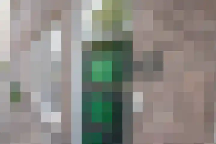 Lopikerstraat 67 Schoonhoven thumbnail 6