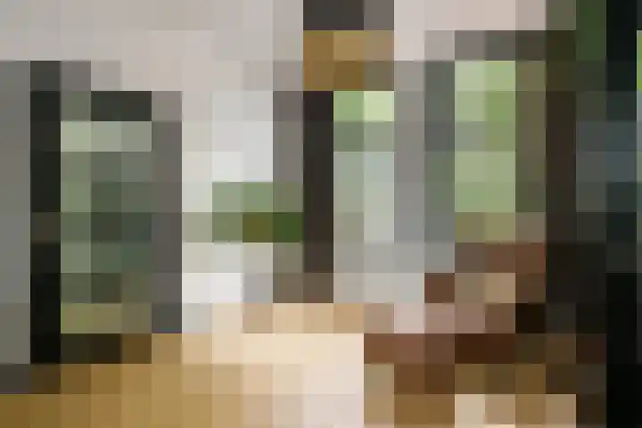 Lopikerstraat 67 Schoonhoven thumbnail 8