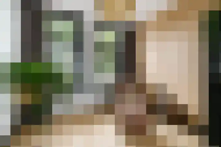 Lopikerstraat 67 Schoonhoven thumbnail 9