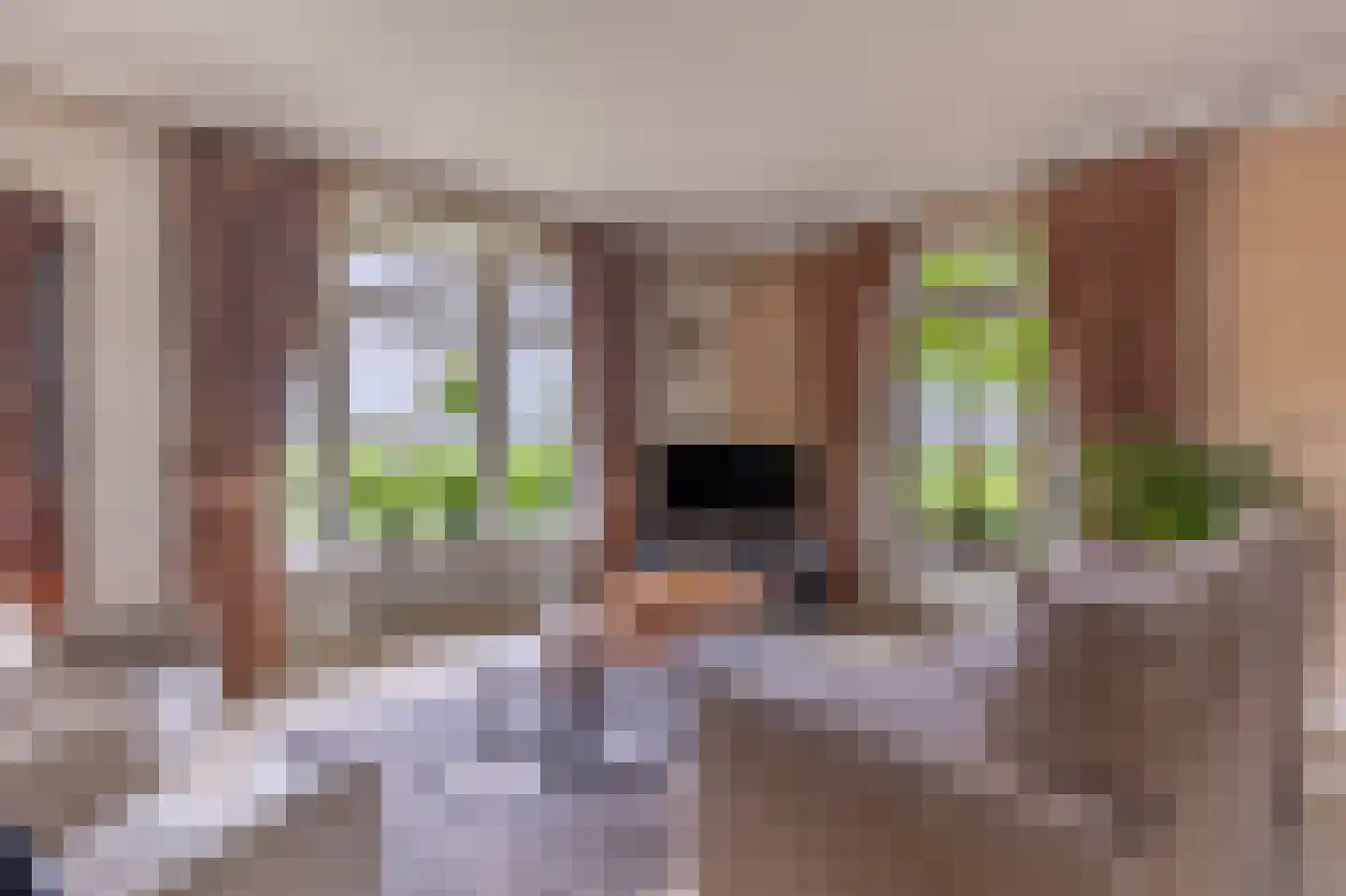 Lopikerweg 1 c Schoonhoven thumbnail 12