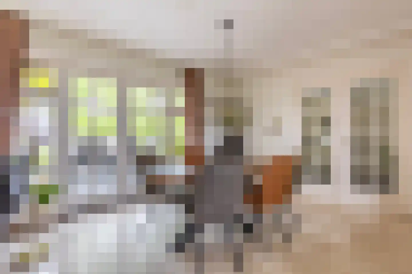 Lopikerweg 1 c Schoonhoven thumbnail 17