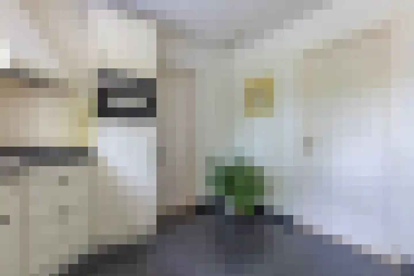 Lopikerweg 1 c Schoonhoven thumbnail 24