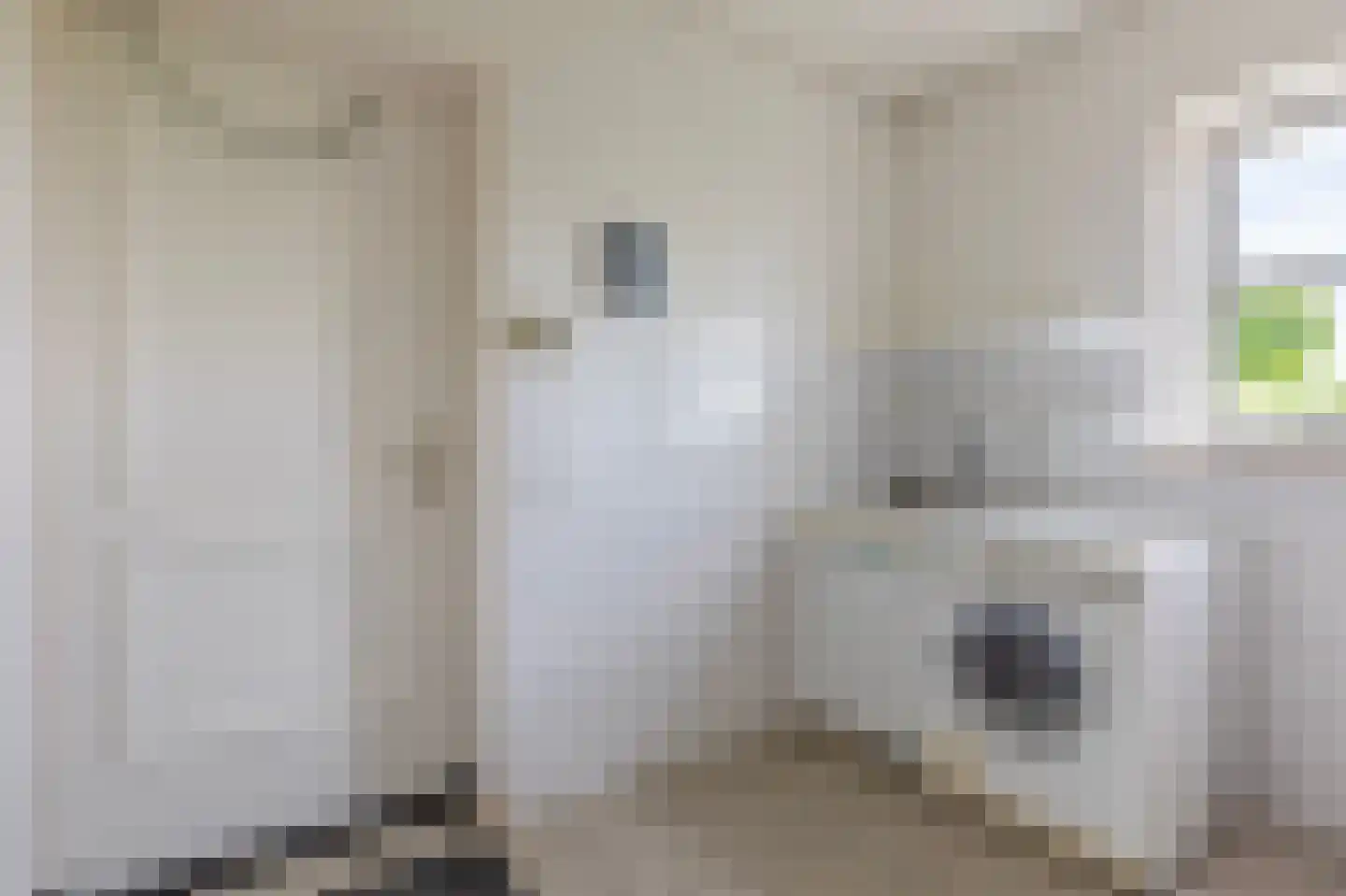Lopikerweg 1 c Schoonhoven thumbnail 25