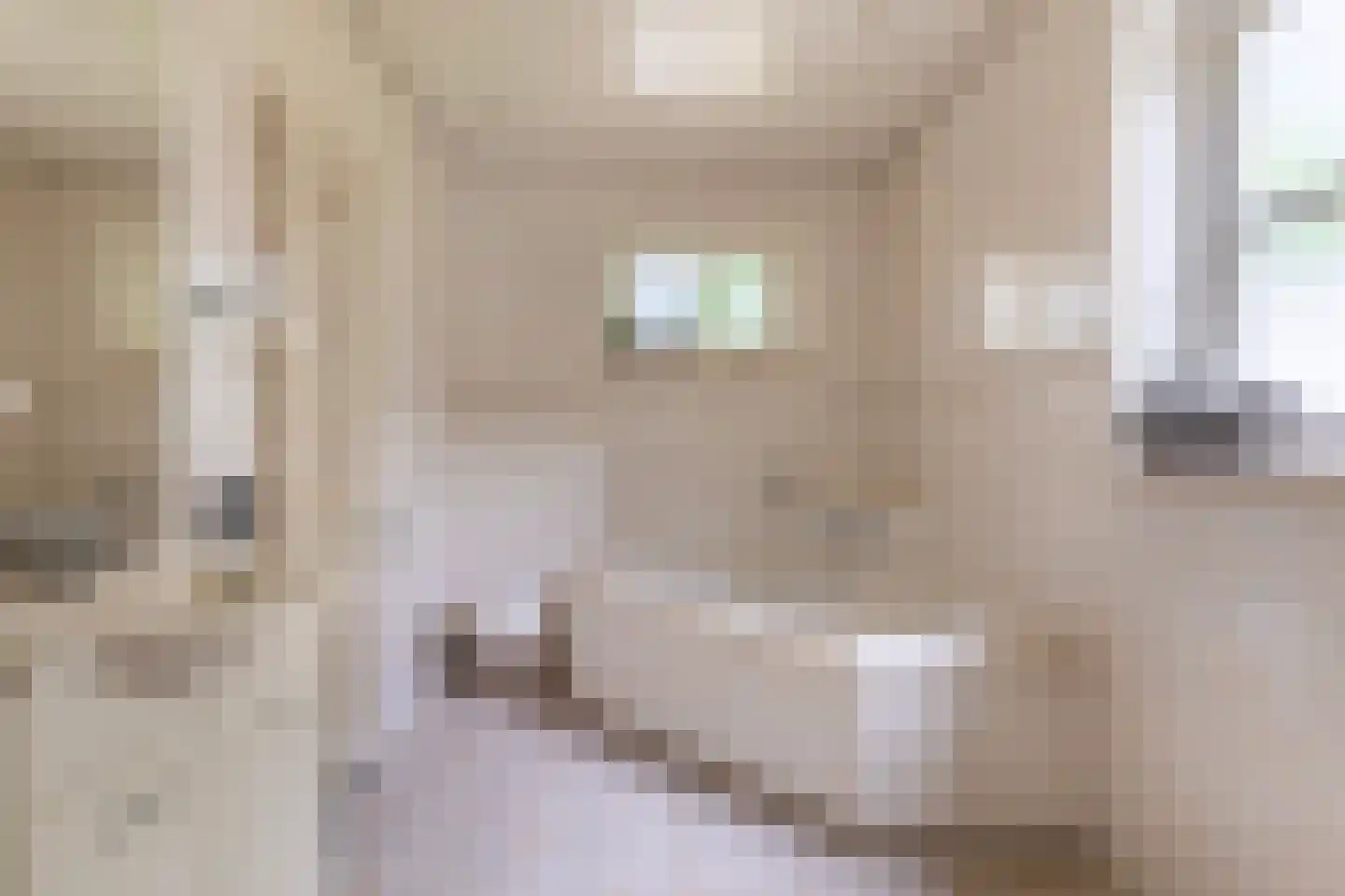 Lopikerweg 1 c Schoonhoven thumbnail 34