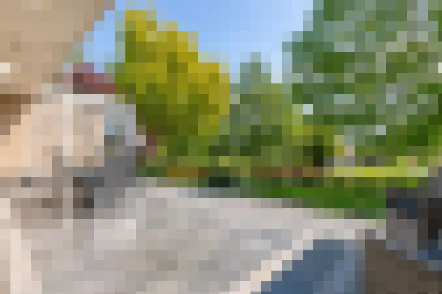Lopikerweg 1 c Schoonhoven thumbnail 4