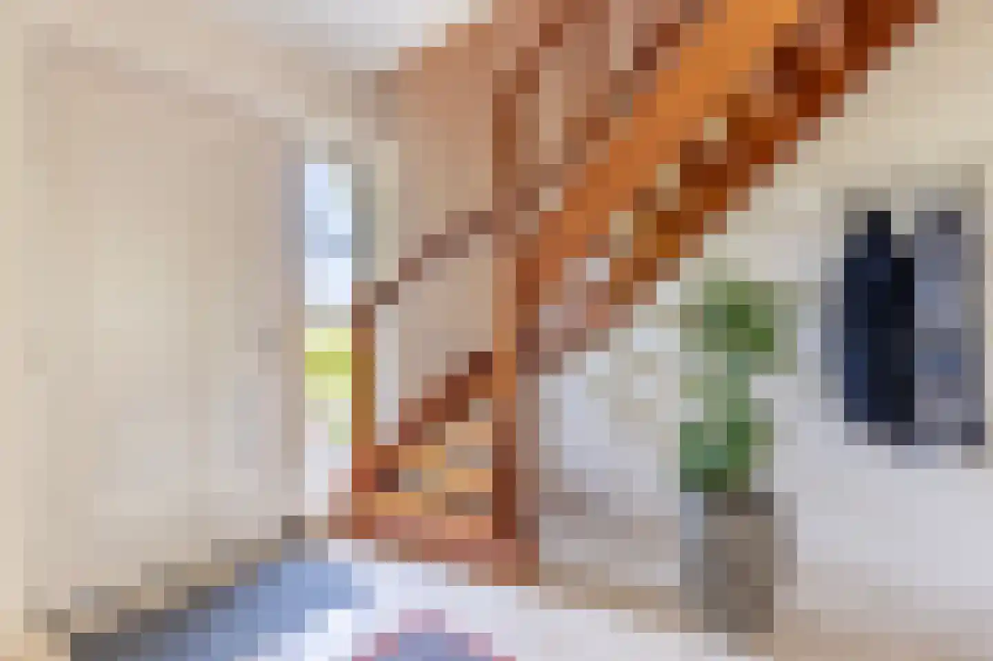 Lopikerweg 1 c Schoonhoven thumbnail 41