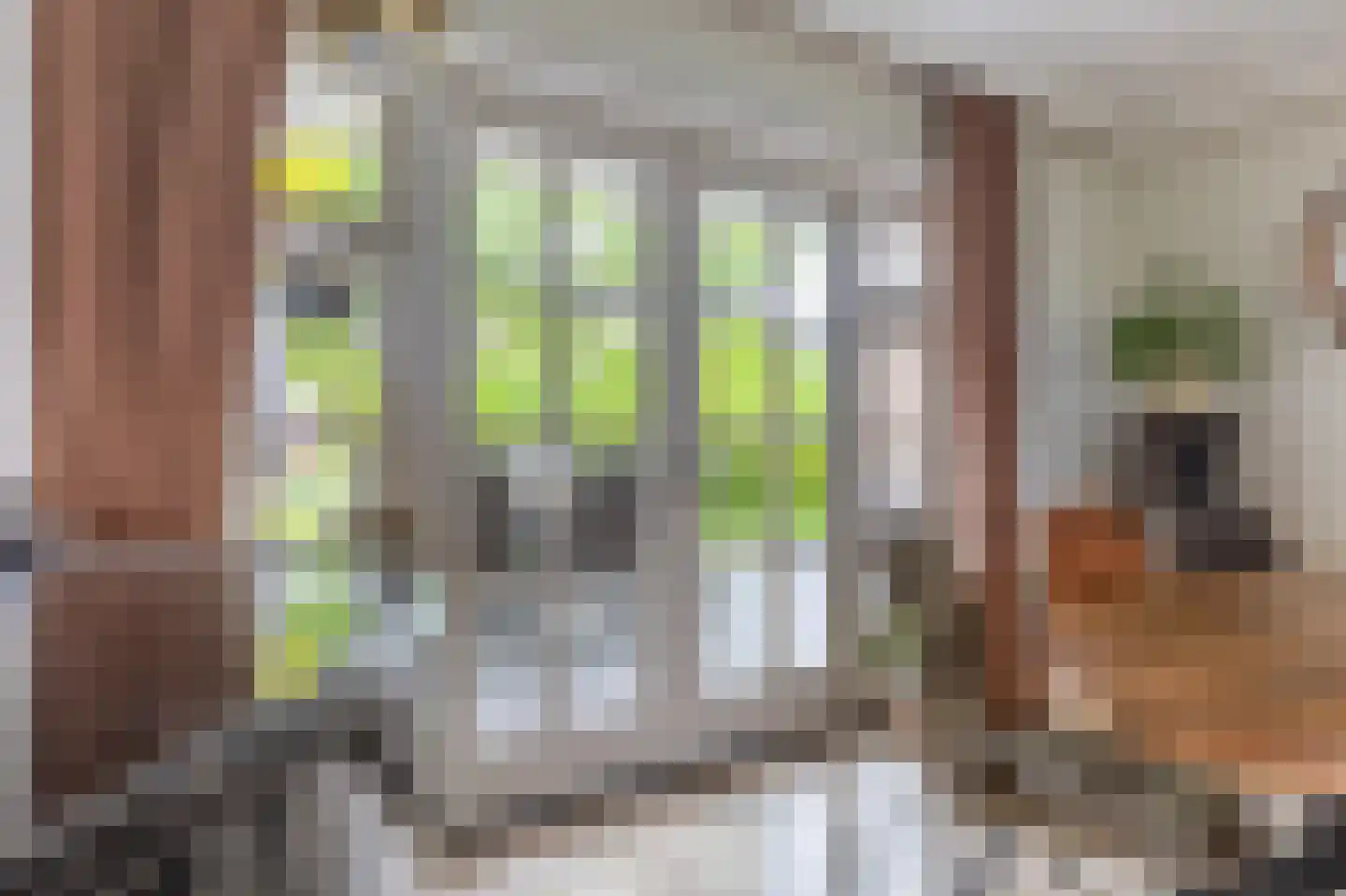 Lopikerweg 1 c Schoonhoven thumbnail 58