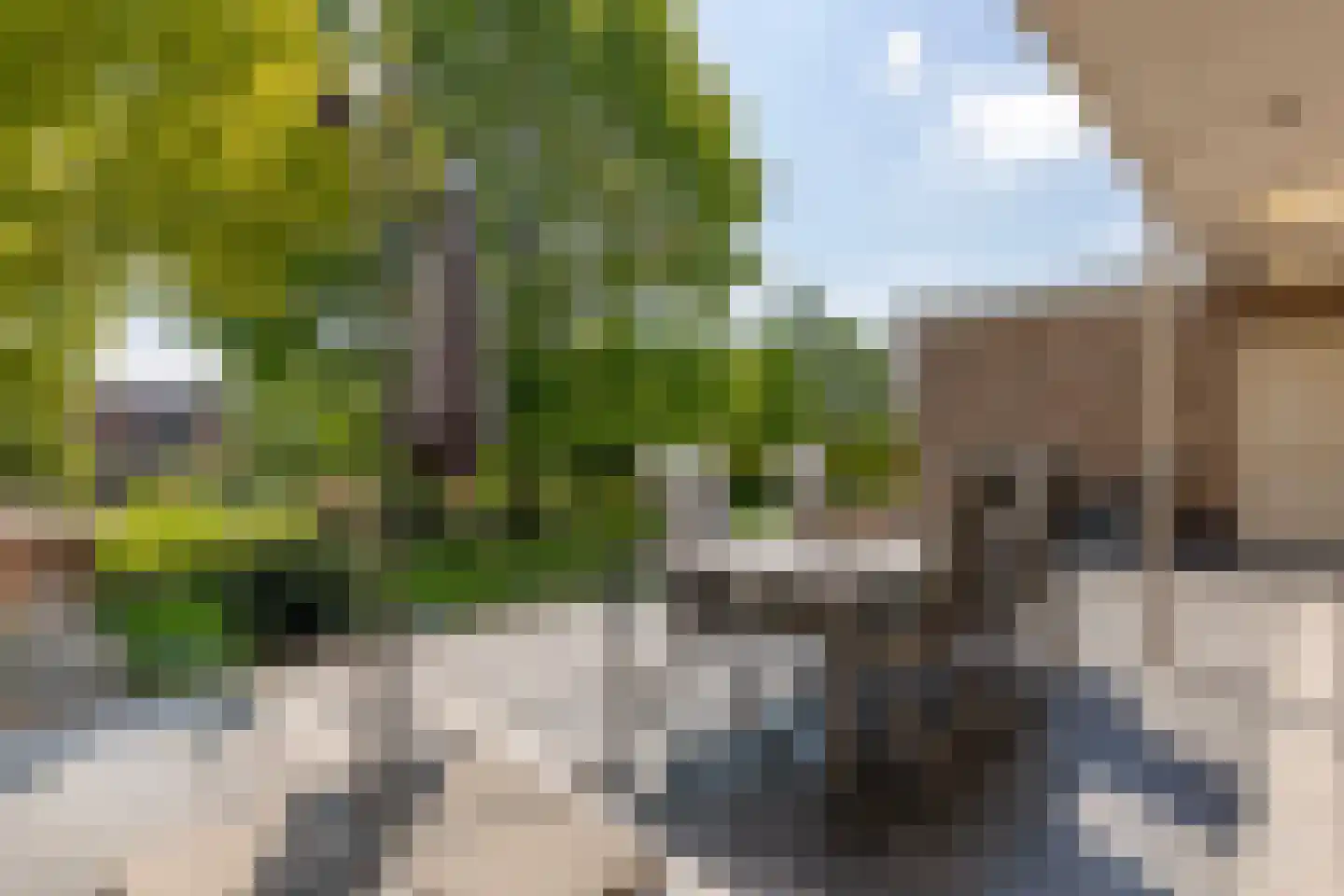 Lopikerweg 1 c Schoonhoven thumbnail 59