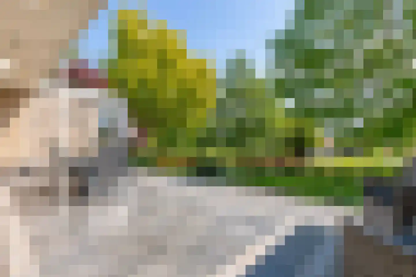 Lopikerweg 1 c Schoonhoven thumbnail 63