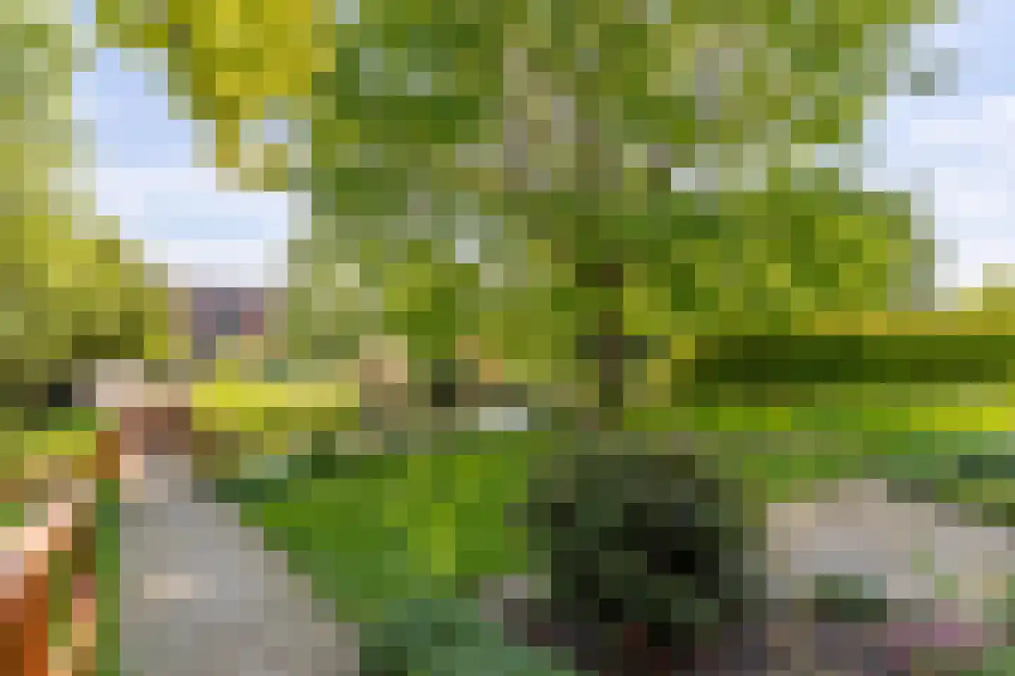 Lopikerweg 1 c Schoonhoven thumbnail 64