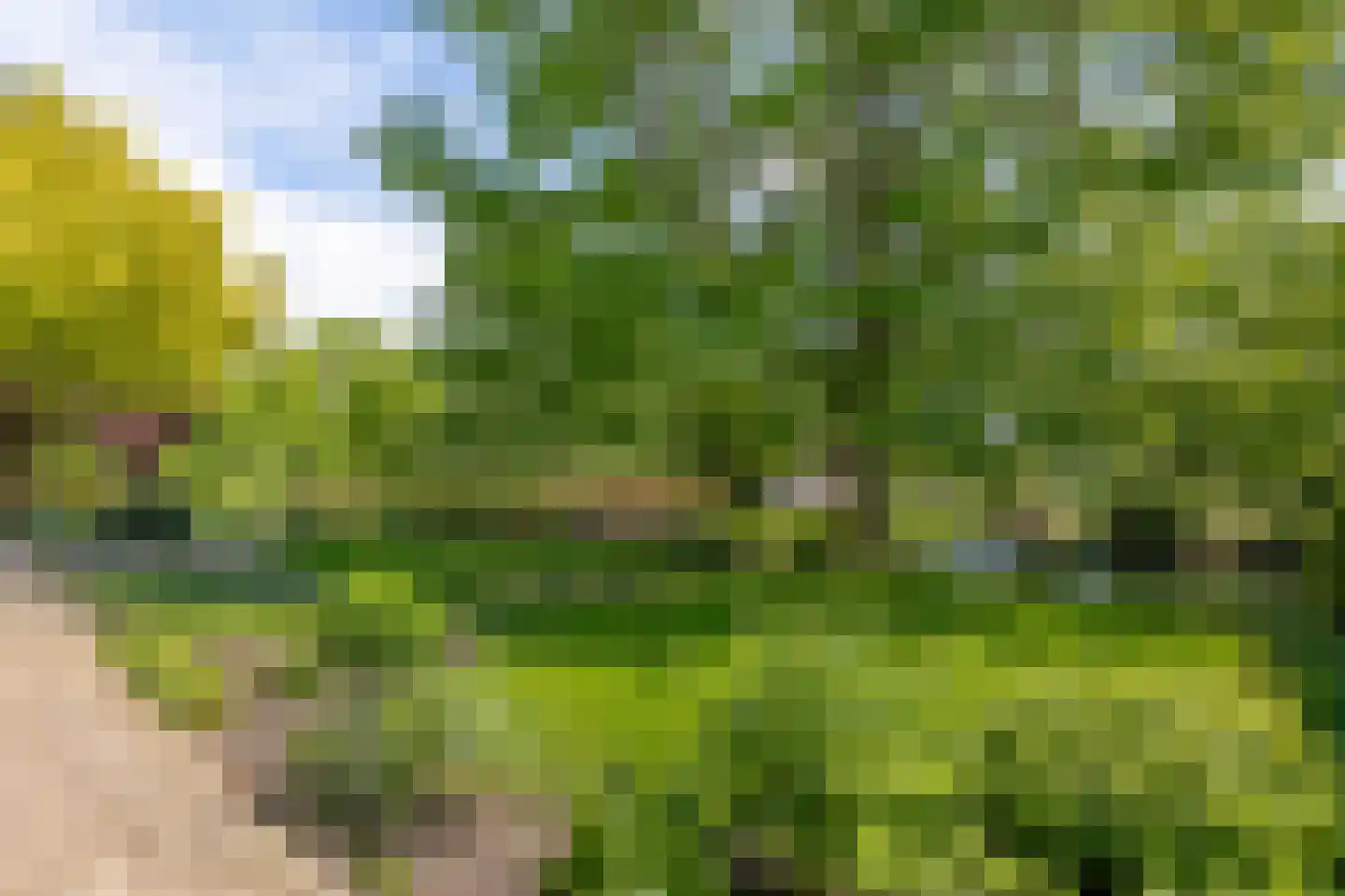 Lopikerweg 1 c Schoonhoven thumbnail 67