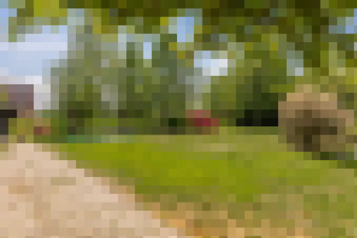 Lopikerweg 1 c Schoonhoven thumbnail 69