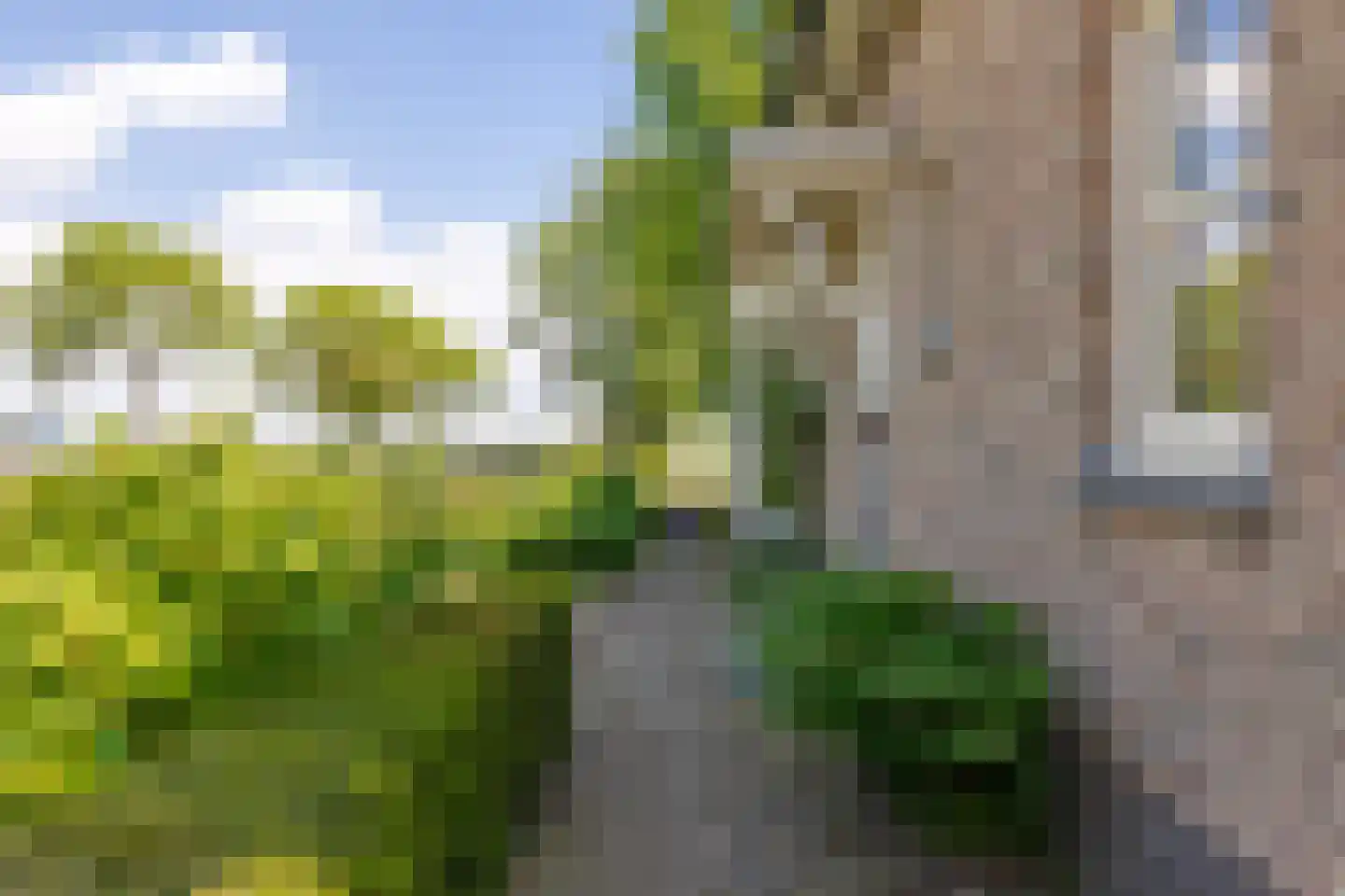 Lopikerweg 1 c Schoonhoven thumbnail 7