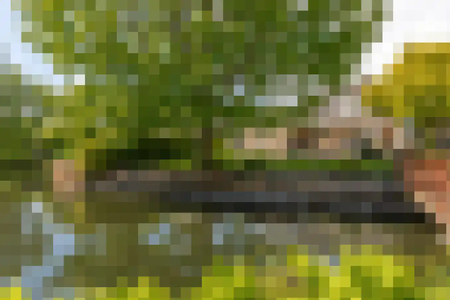 Lopikerweg 1 c Schoonhoven thumbnail 72