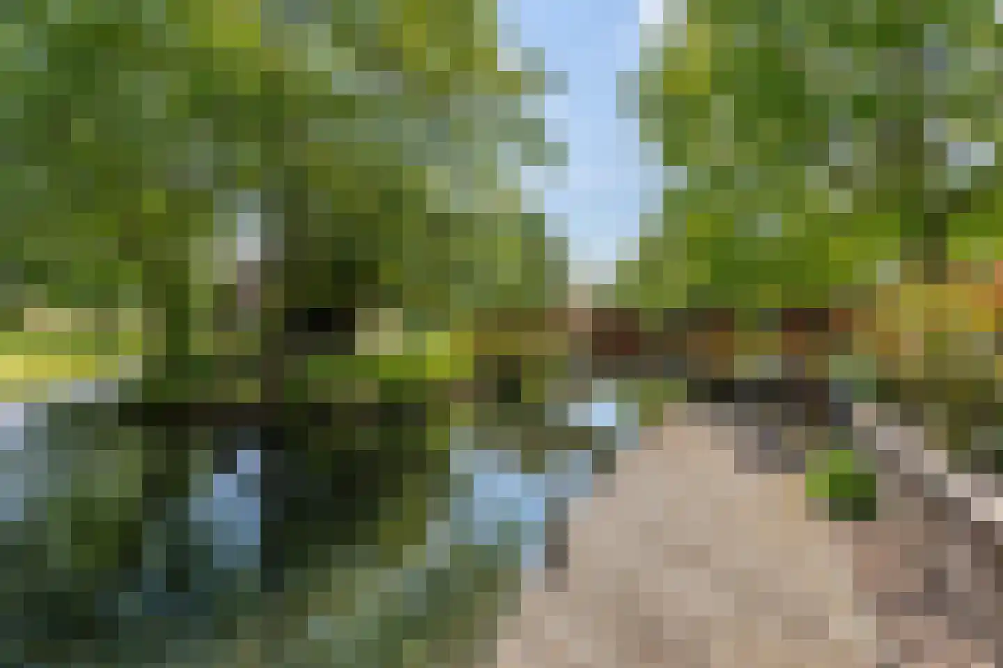 Lopikerweg 1 c Schoonhoven thumbnail 73