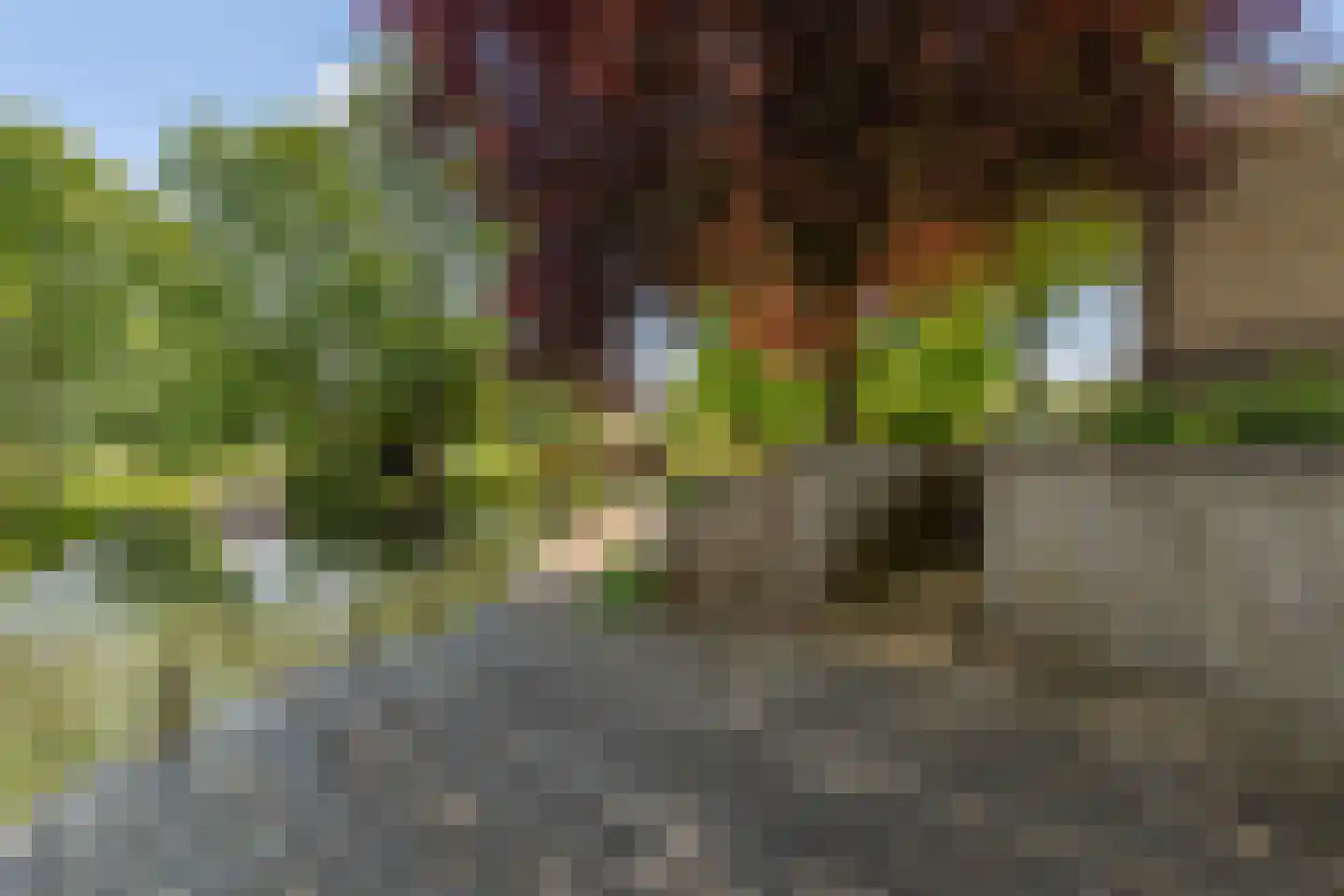 Lopikerweg 1 c Schoonhoven thumbnail 74