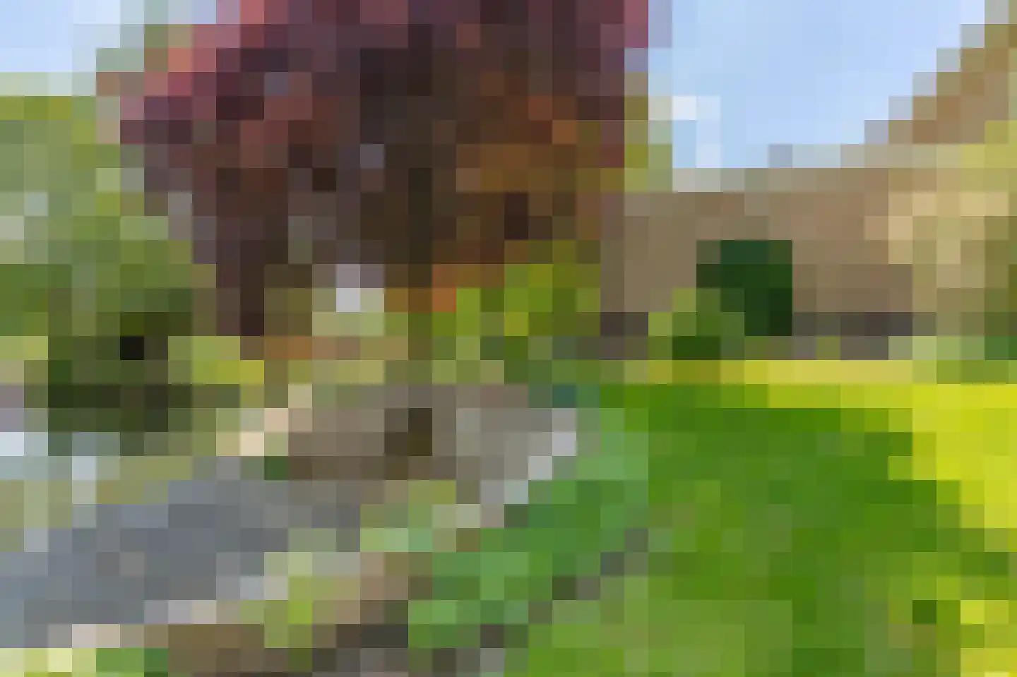 Lopikerweg 1 c Schoonhoven thumbnail 75