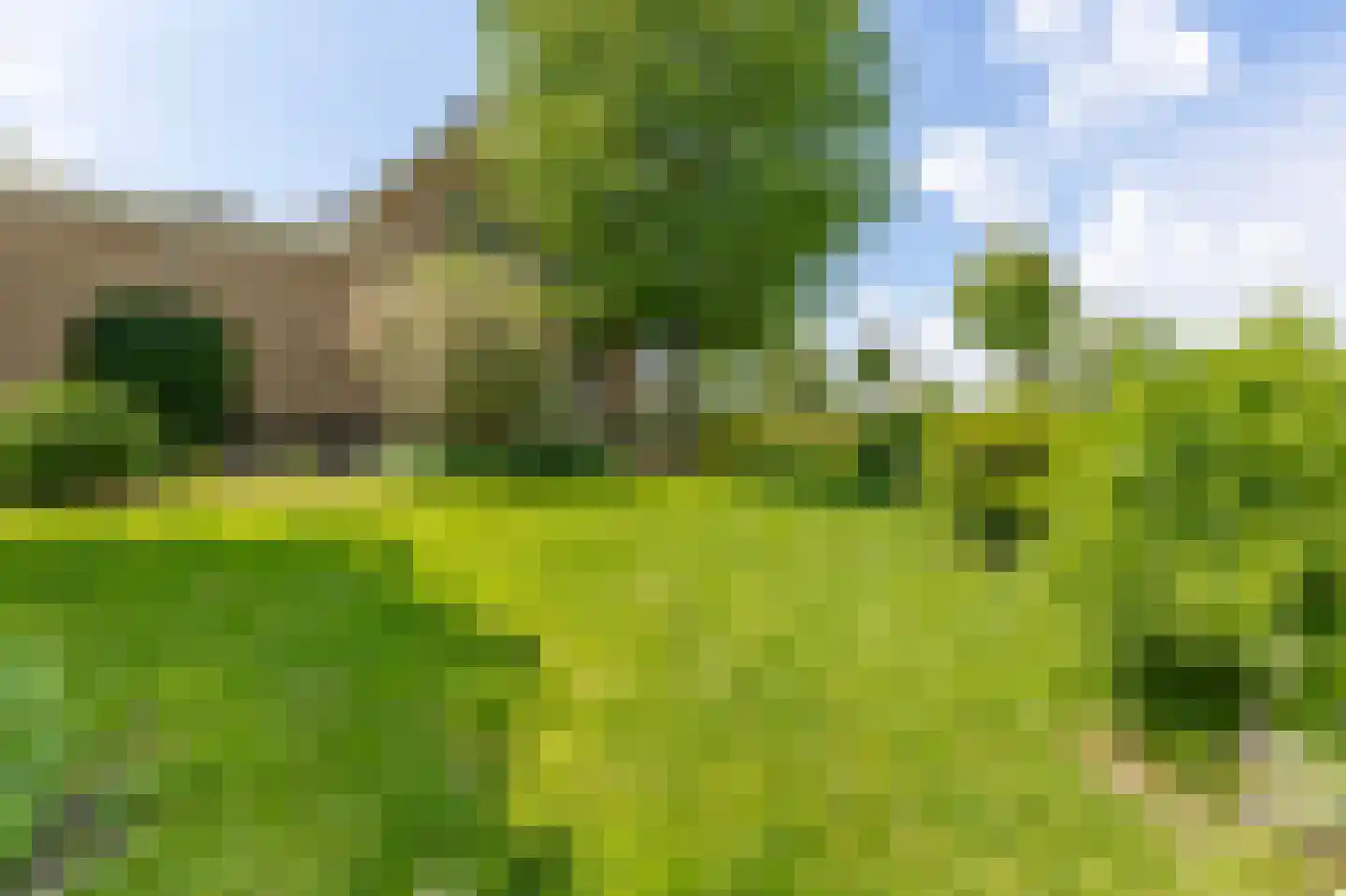 Lopikerweg 1 c Schoonhoven thumbnail 76
