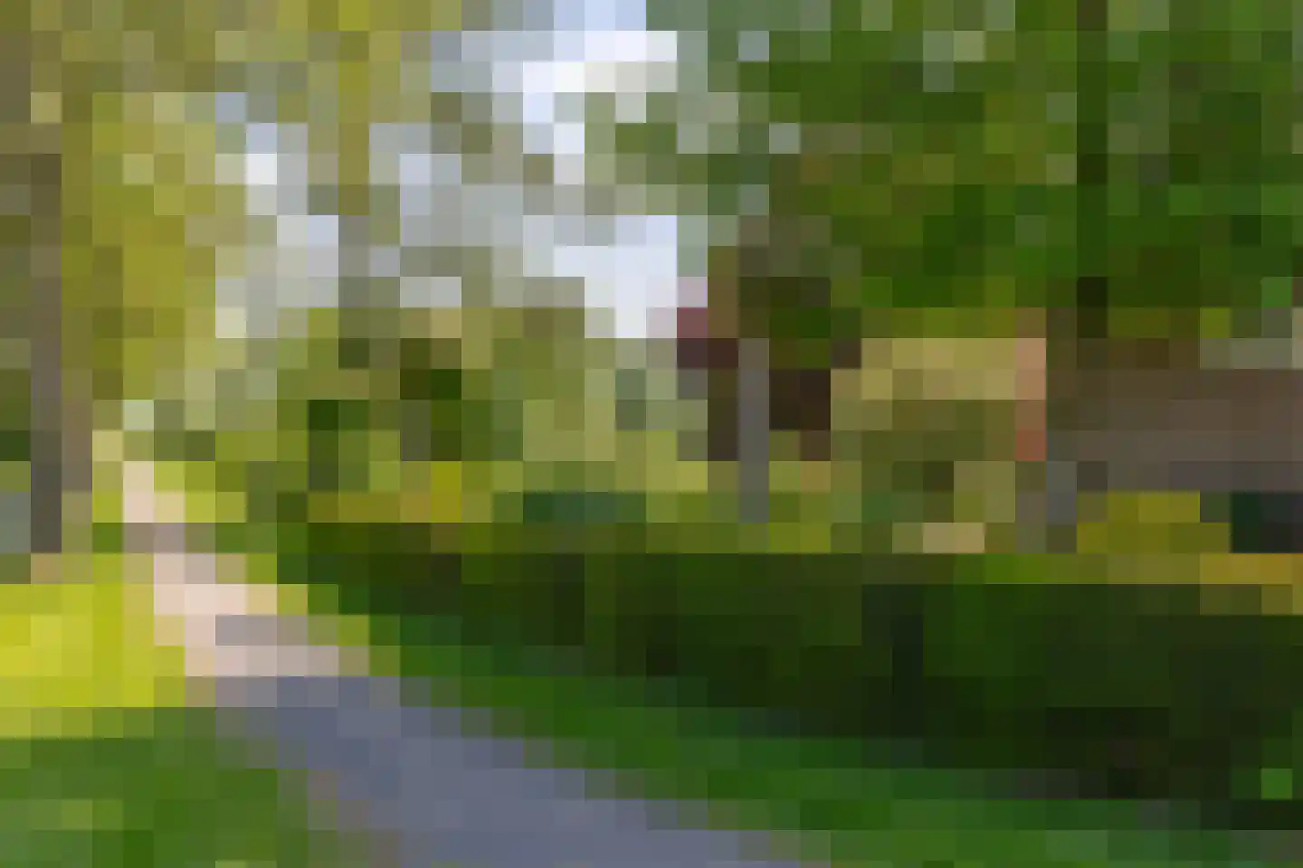 Lopikerweg 1 c Schoonhoven thumbnail 82