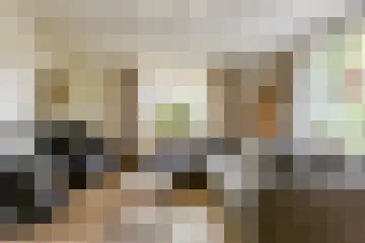 Lopikerweg 34 Schoonhoven thumbnail 5