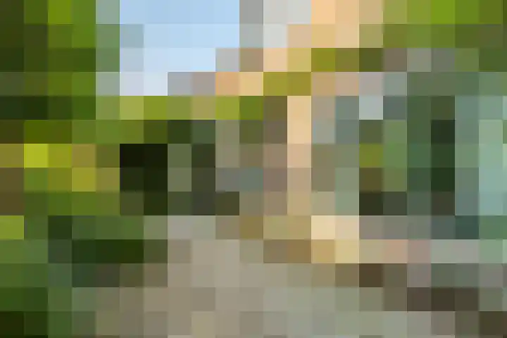 Lopikerweg 34 Schoonhoven thumbnail 63