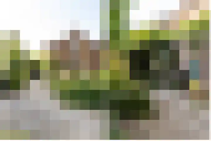 Lopikerweg 34 Schoonhoven thumbnail 71