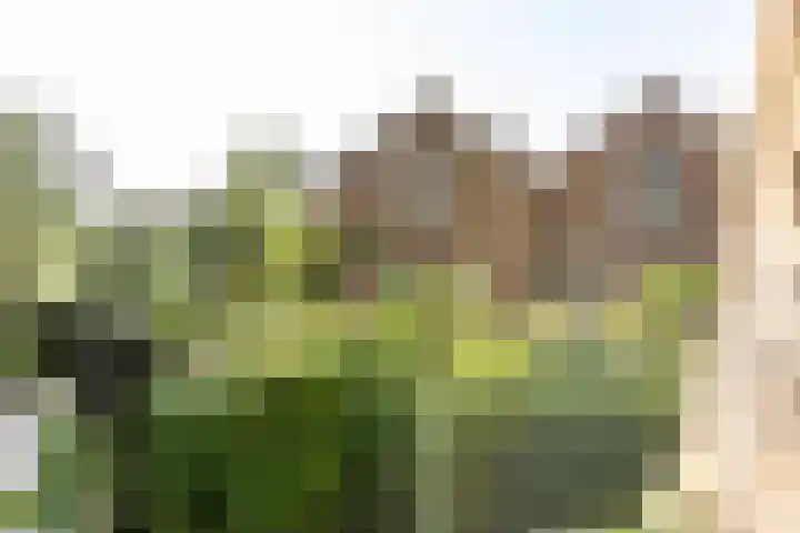 Lopikerweg 34 Schoonhoven thumbnail 74
