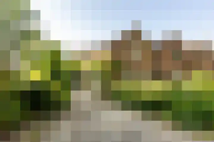 Lopikerweg 34 Schoonhoven thumbnail 76