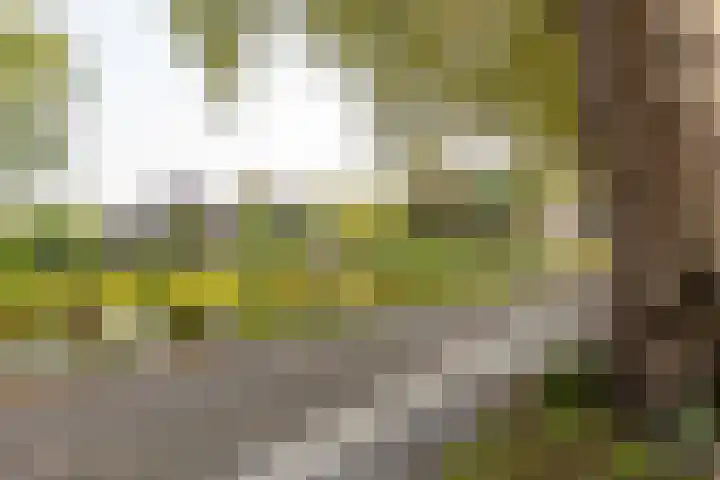 Lopikerweg 34 Schoonhoven thumbnail 78