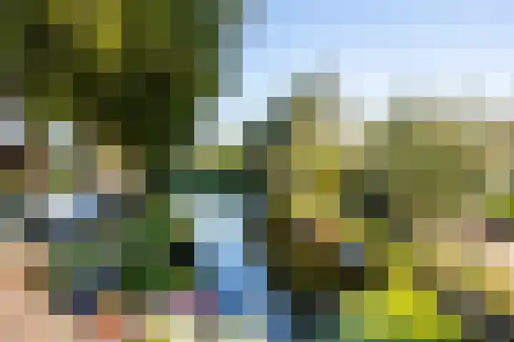 Lopikerweg 34 Schoonhoven thumbnail 80