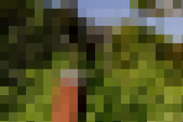 Lopikerweg 34 Schoonhoven thumbnail 90