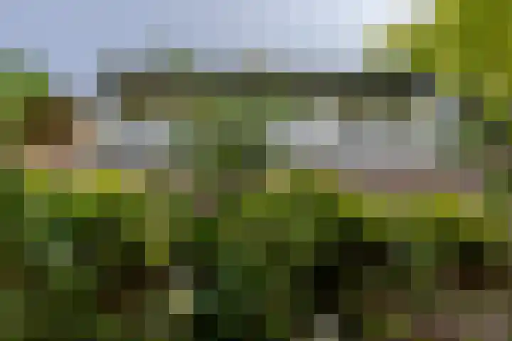 Lopikerweg 34 Schoonhoven thumbnail 91