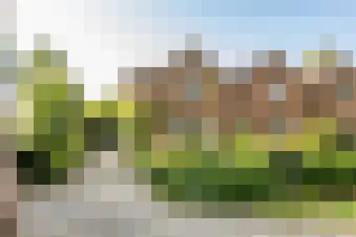 Lopikerweg 34 Schoonhoven thumbnail 96